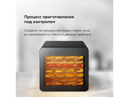 Сушилка BQ FD1006 Black-Steel